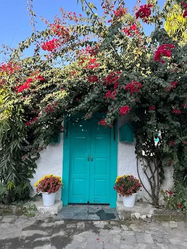 Coffee Ghar entrance with bougainvillea