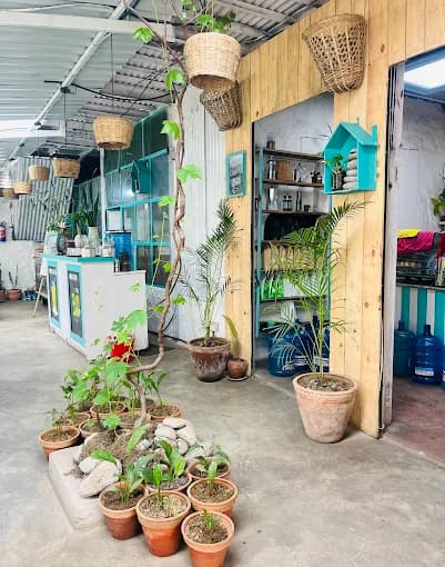 Café interior with plants and wicker decor